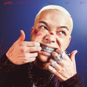 小川阿佐美PGD606
