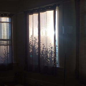 小川阿佐美PGD606
