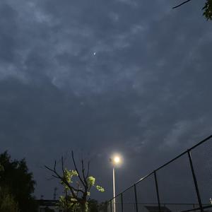 小川阿佐美PGD606
