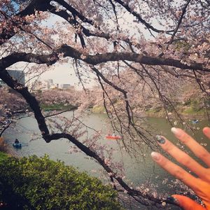 小川阿佐美PGD606
